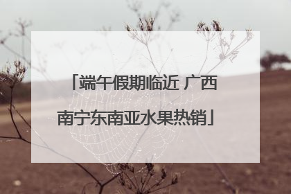端午假期临近 广西南宁东南亚水果热销