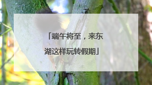 端午将至，来东湖这样玩转假期