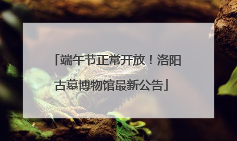 端午节正常开放！洛阳古墓博物馆最新公告