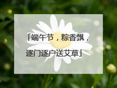 端午节，粽香飘，逐门逐户送艾草