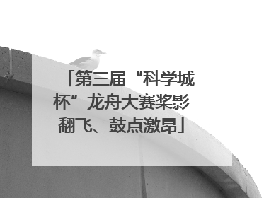 第三届“科学城杯”龙舟大赛桨影翻飞、鼓点激昂
