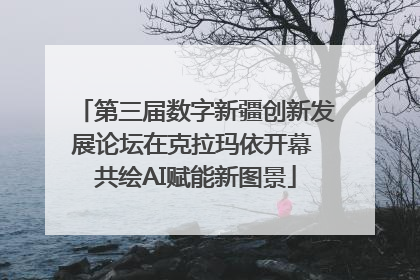 第三届数字新疆创新发展论坛在克拉玛依开幕 共绘AI赋能新图景