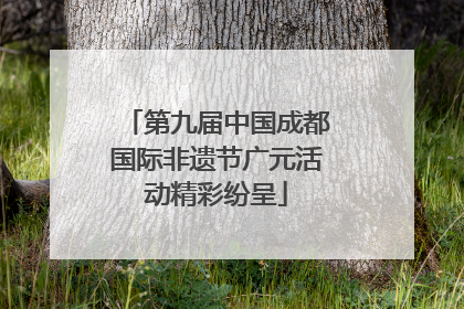 第九届中国成都国际非遗节广元活动精彩纷呈