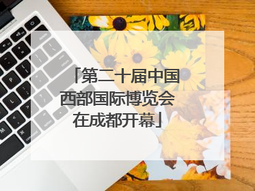 第二十届中国西部国际博览会在成都开幕