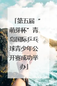 第五届“萌芽杯”青岛国际乒乓球青少年公开赛成功举办