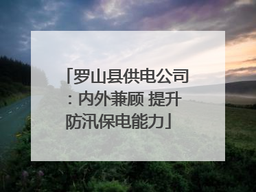 罗山县供电公司：内外兼顾 提升防汛保电能力