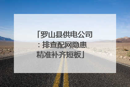 罗山县供电公司：排查配网隐患 精准补齐短板