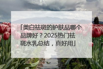美白祛斑的护肤品哪个品牌好？2025热门祛斑水乳总结，真好用