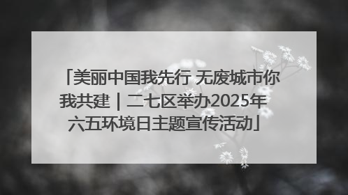 美丽中国我先行 无废城市你我共建｜二七区举办2025年六五环境日主题宣传活动