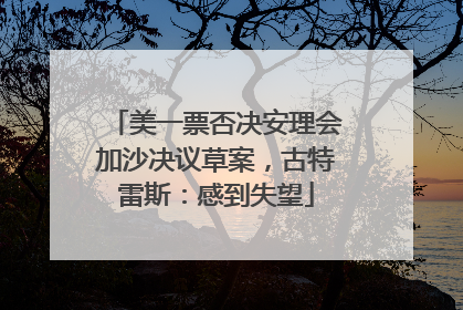 美一票否决安理会加沙决议草案，古特雷斯：感到失望