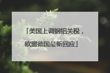 美国上调钢铝关税，欧盟德国最新回应