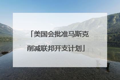 美国会批准马斯克削减联邦开支计划