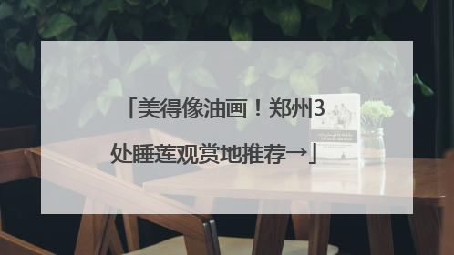 美得像油画！郑州3处睡莲观赏地推荐→