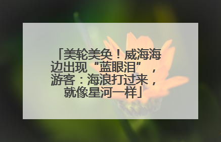 美轮美奂！威海海边出现“蓝眼泪”，游客：海浪打过来，就像星河一样