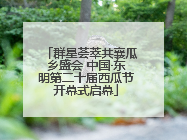 群星荟萃共襄瓜乡盛会 中国·东明第二十届西瓜节开幕式启幕