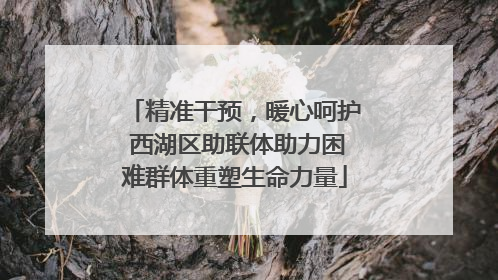 精准干预，暖心呵护 西湖区助联体助力困难群体重塑生命力量