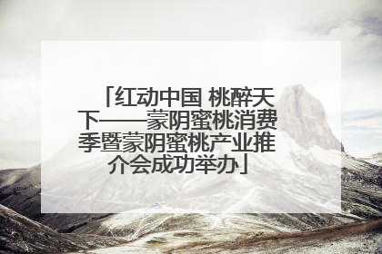 红动中国 桃醉天下——蒙阴蜜桃消费季暨蒙阴蜜桃产业推介会成功举办