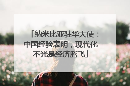 纳米比亚驻华大使：中国经验表明，现代化不光是经济腾飞