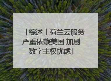 综述丨荷兰云服务严重依赖美国 加剧数字主权忧虑