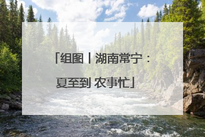 组图丨湖南常宁：夏至到 农事忙