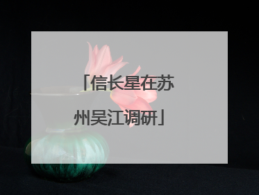 信长星在苏州吴江调研