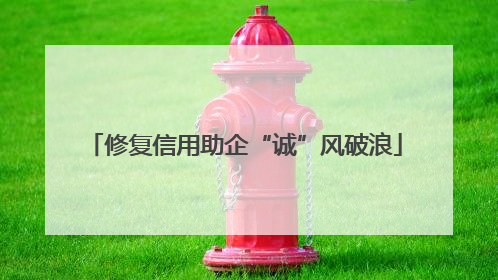 修复信用助企“诚”风破浪