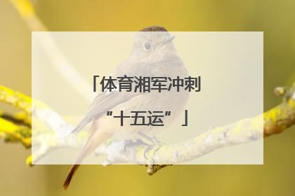 体育湘军冲刺“十五运”