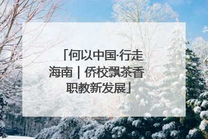 何以中国·行走海南｜侨校飘茶香 职教新发展