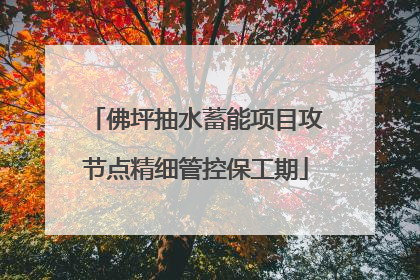 佛坪抽水蓄能项目攻节点精细管控保工期