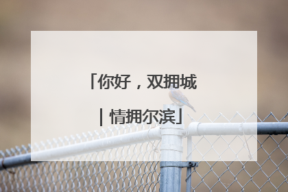 你好，双拥城｜情拥尔滨