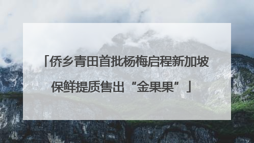 侨乡青田首批杨梅启程新加坡 保鲜提质售出“金果果”