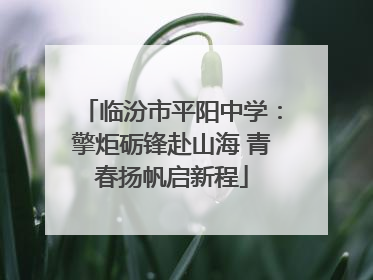临汾市平阳中学：擎炬砺锋赴山海 青春扬帆启新程
