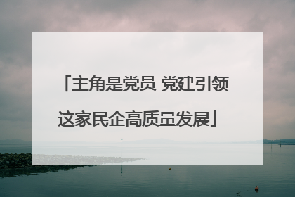 主角是党员 党建引领这家民企高质量发展