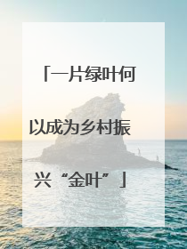 一片绿叶何以成为乡村振兴“金叶”