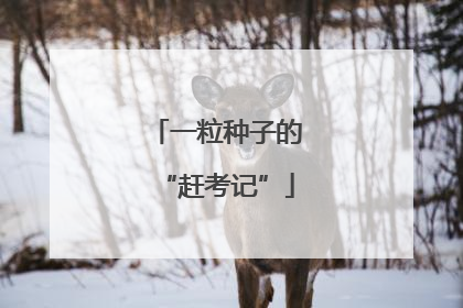 一粒种子的“赶考记”