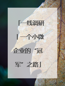 一线调研丨一个小微企业的“冠军”之路