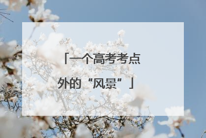 一个高考考点外的“风景”