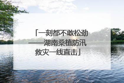 一刻都不敢松劲——湖南桑植防汛救灾一线直击