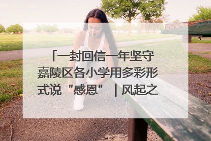 一封回信一年坚守 嘉陵区各小学用多彩形式说“感恩”｜风起之江 扶摇直上