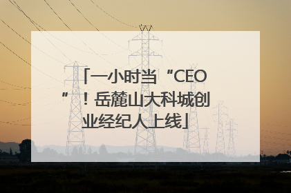 一小时当“CEO”！岳麓山大科城创业经纪人上线