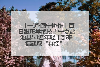 一道·闽宁协作丨百日跟班学绝技！宁夏盐池县53名年轻干部来福建取“真经”