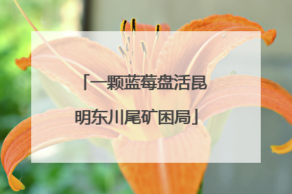 一颗蓝莓盘活昆明东川尾矿困局