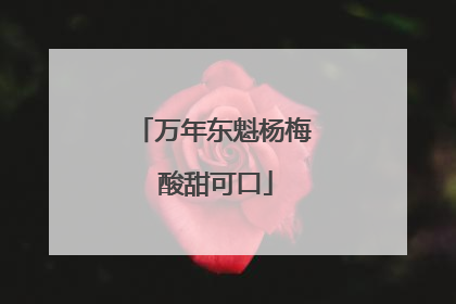 万年东魁杨梅 酸甜可口