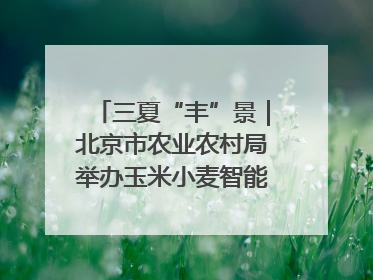 三夏“丰”景｜北京市农业农村局举办玉米小麦智能农机装备推广“田间日”活动