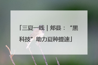 三夏一线｜郏县：“黑科技”助力夏种提速