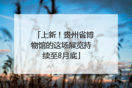 上新！贵州省博物馆的这场展览持续至8月底
