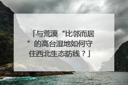 与荒漠“比邻而居”的高台湿地如何守住西北生态防线？