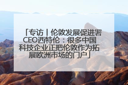 专访丨伦敦发展促进署CEO西特伦：很多中国科技企业正把伦敦作为拓展欧洲市场的门户