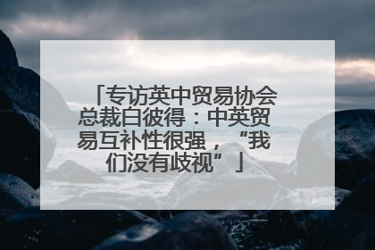 专访英中贸易协会总裁白彼得：中英贸易互补性很强，“我们没有歧视”