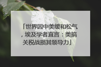 世界因中美缓和松气，埃及学者直言：美搞关税战损其领导力